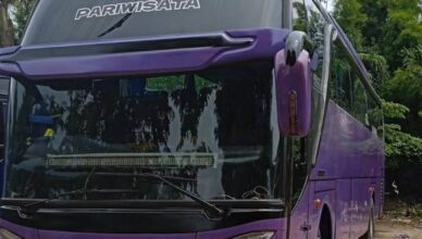 sewa bus jakarta